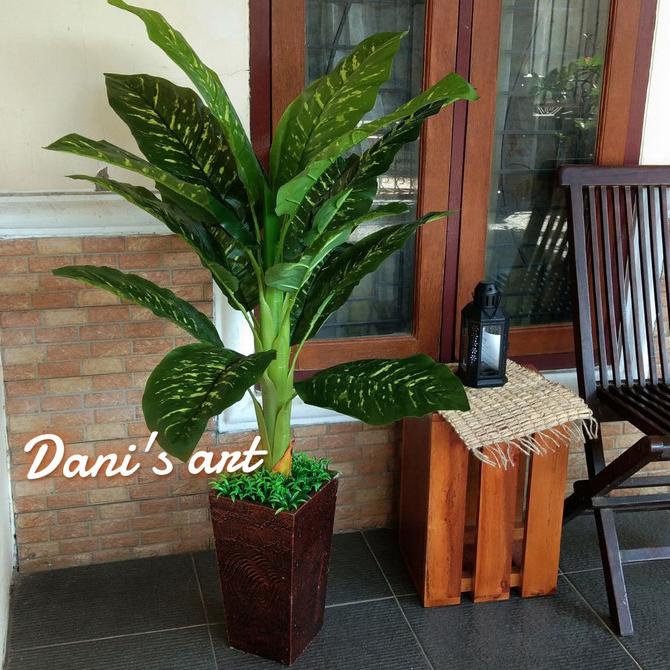 Tanaman aglonema / sri rejeki jumbo/ tanaman plastik/ tanaman palsu