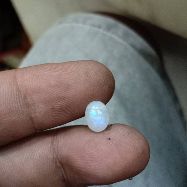 

Duri bulan sangat kecil