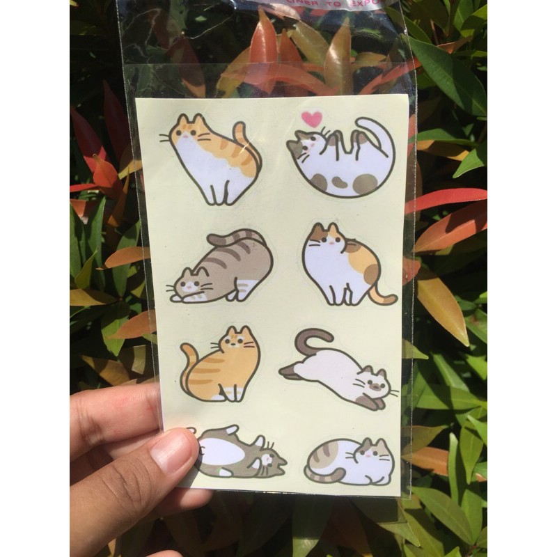 

Cat Stiker glossy small