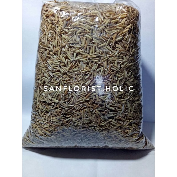 Media Tanam Sekam Mentah / Media Tanam Sekam Mentah / Sekam Padi / Sekam Kulit Padi / Sekam Mentah M