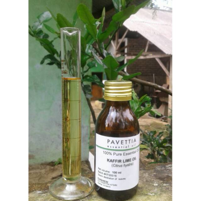 Jual 100 ml - minyak atsiri daun jeruk purut / kaffirlime essential oil