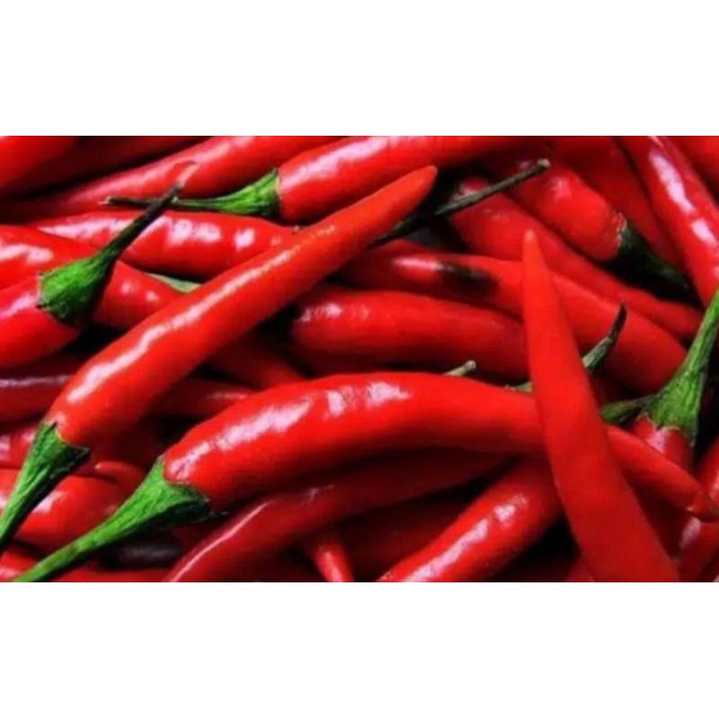 

Cabe Merah Besar Super 250gram