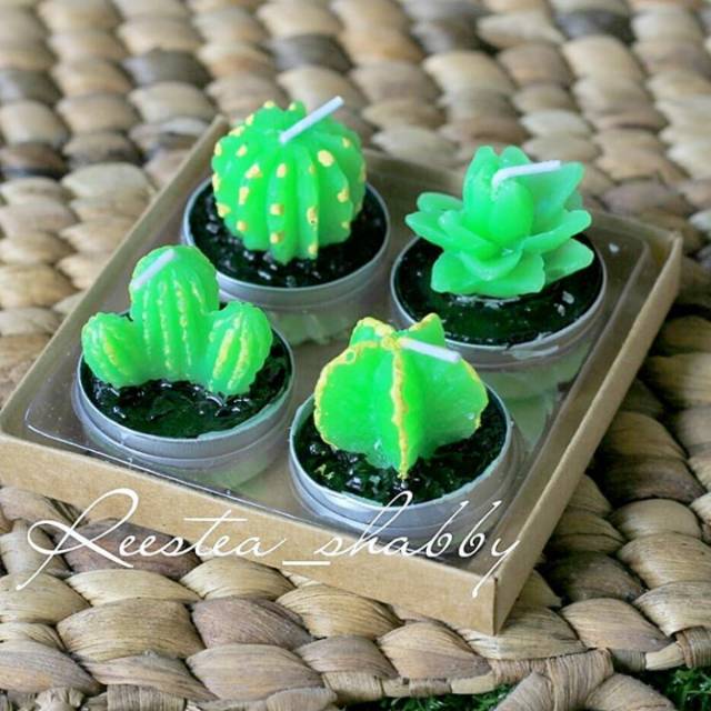 Mini lilin kaktus/kaktus hias/ lilin kaktus