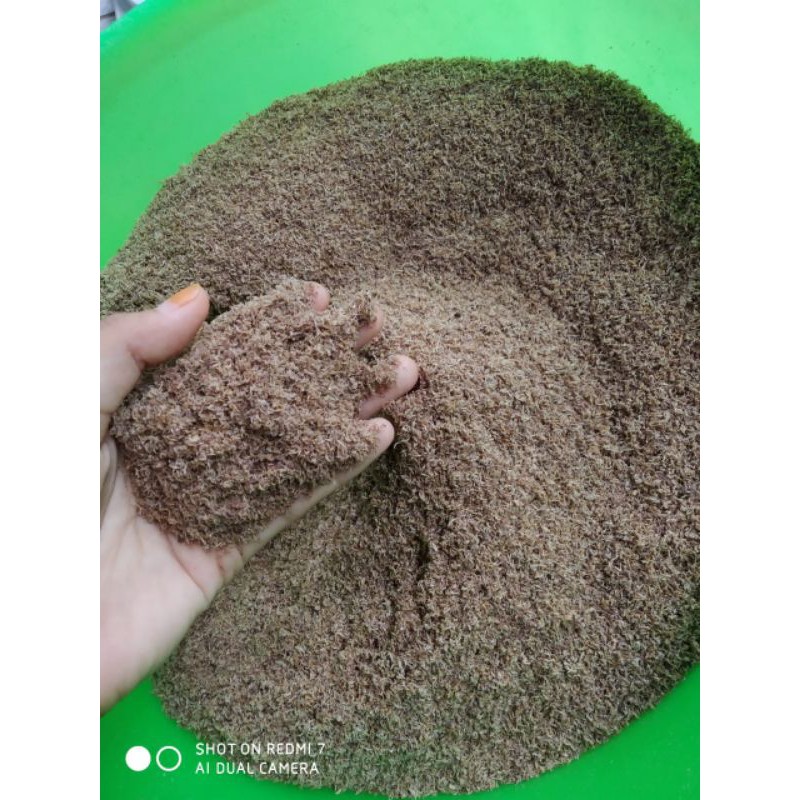 

baby shrimp 1/2 kg