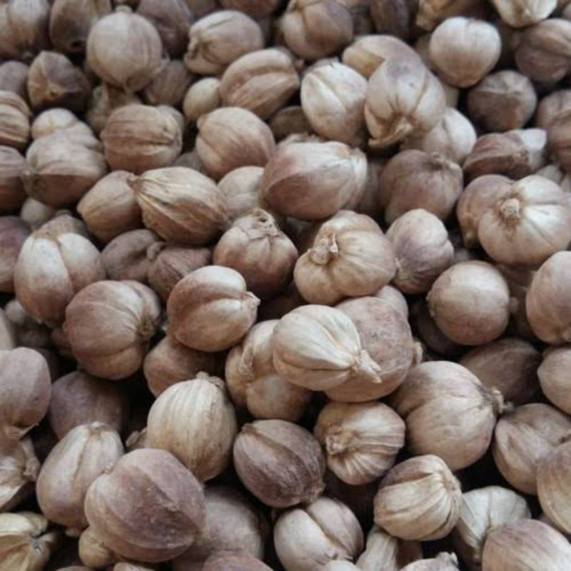

Kapol Kapulaga Kemasan 100gram