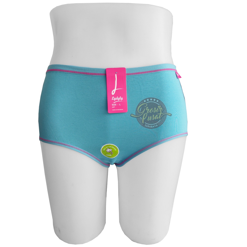 Celana Dalam Wanita Lydyly Premium Original CD L071