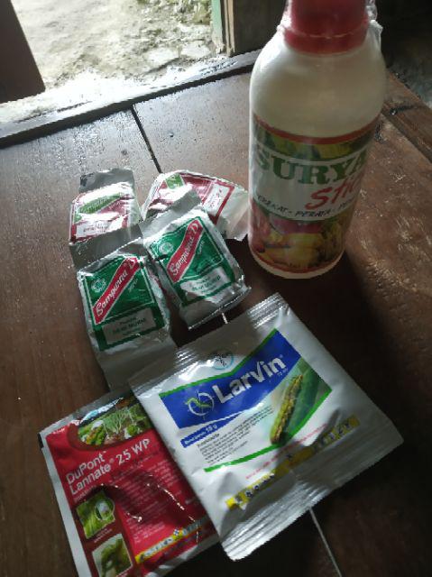 Perekat Dan Perata Pestisida /pupuk Obat Pertanian Surya Stick 500ml