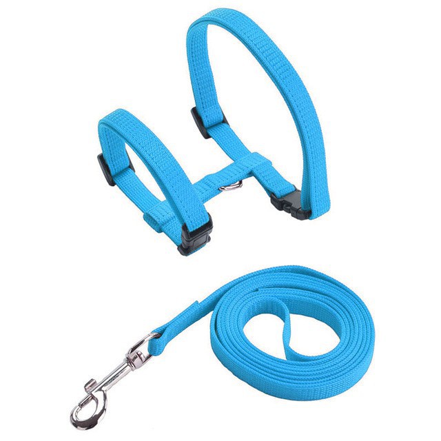 6 Warna Adjustable Pet Cat Collar Untuk Kucing Nyaman Nylon Rabbit Kitten Kedi Harness Leash Set Dog Cat Aksesoris Produk Untuk Hewan Peliharaan