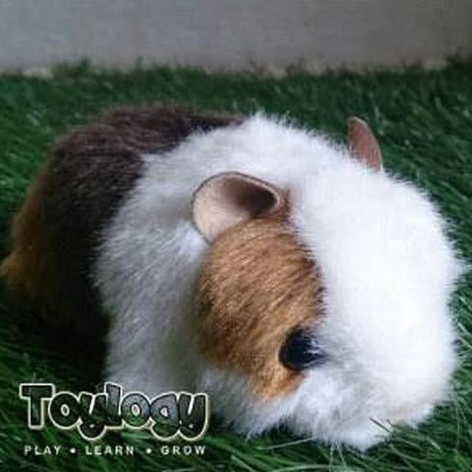 Teddy Guinea Pig Doll ( Boneka Marmut Teddy ) - 7 inch
