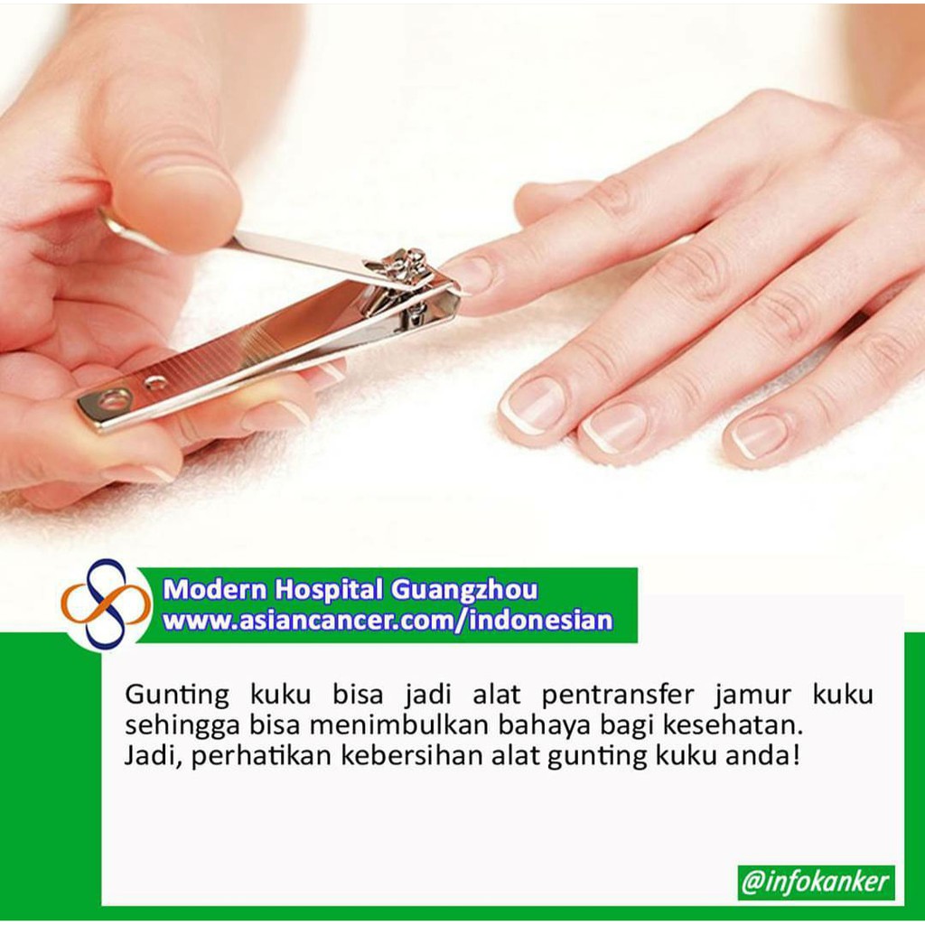 [Best Seller] Nail Clipper Gunting Kuku 5 Cm