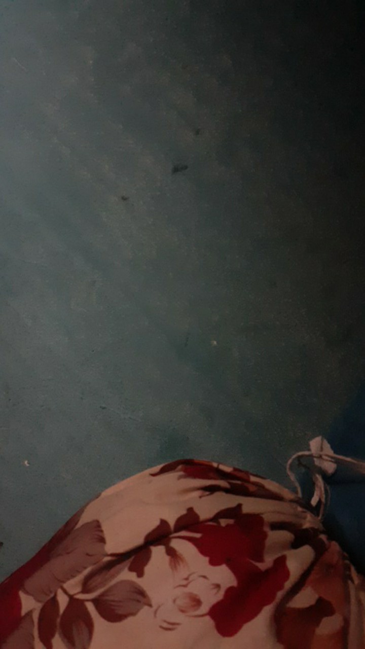 Springbed Central Deluxe Plus Pocket Spring Fullset Kasur, Divan, Sandaran