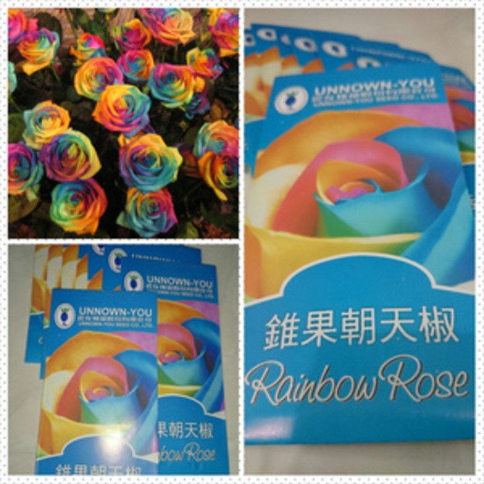 Bibit Biji Bunga Pelangi Satuan / Benih Mawar Rainbow