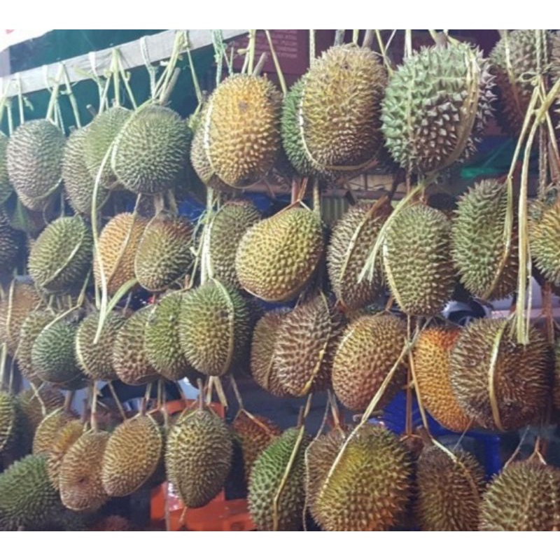 Durian utuh matang (Durian Petruk)