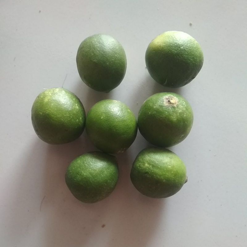 

Grosir Jeruk Nipis Buah Segar 250 gram Murah