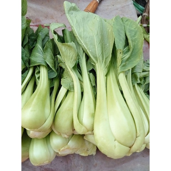 

Bokcoy