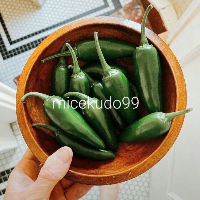 

JALAPENO FRESH / HOT PEPPERS PEPPER SEGAR CABE CABAI PEDAS