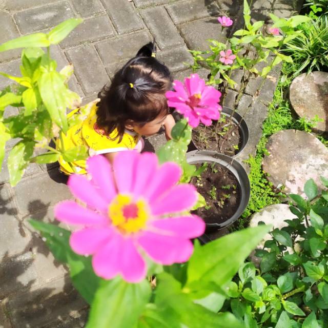 putridiatiyanuarsasi