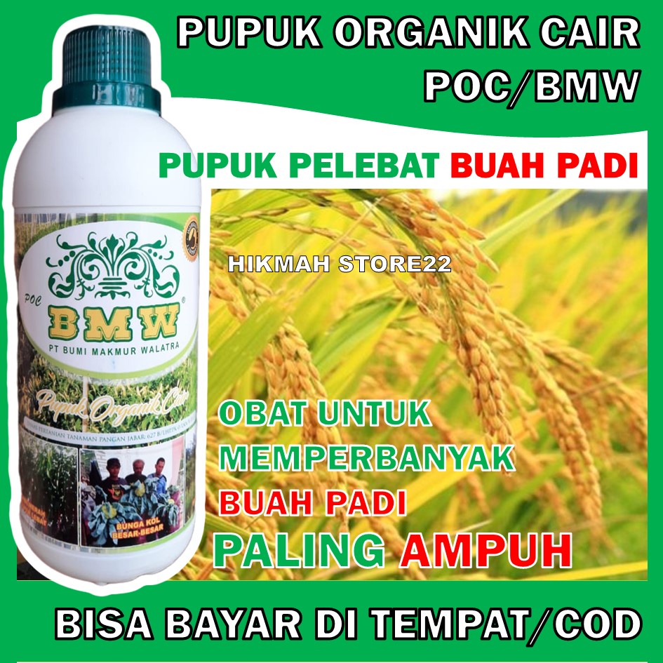 PROMO POC BMW 500 ML Obat Pelebat Buah Padi - Obat Penyubur Padi Alami - Obat Penyubur Akar Padi - O
