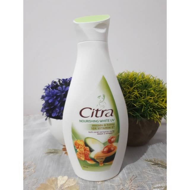 Citra Hand&Body Lotion Avocado&Honey 230ml