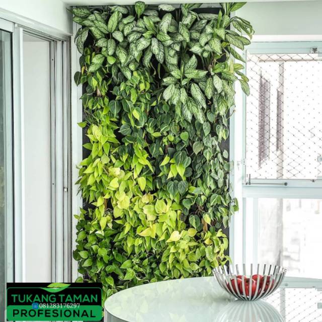 Jasa pembuatan taman Vertical/vertikal garden