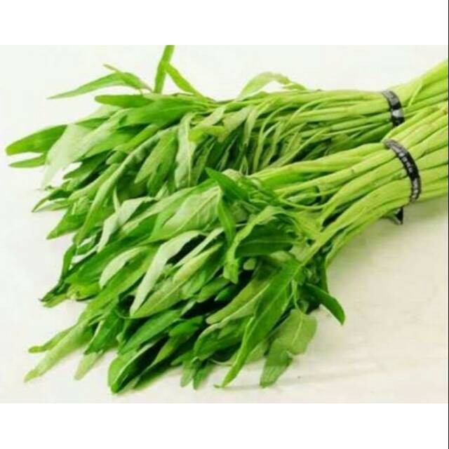

Kangkung organik 250g
