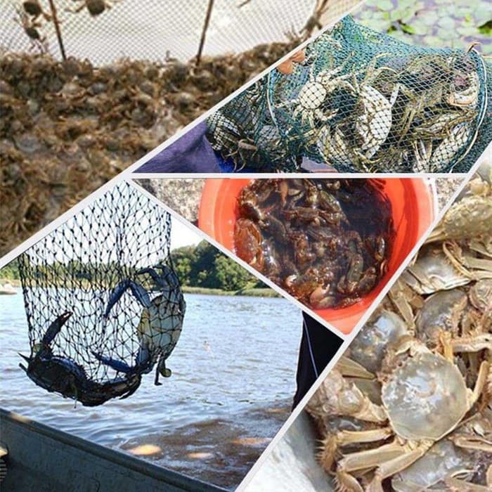 Jaring Penangkap Ikan Jaring Pancing Udang Ikan Bubu 20 Lubang Fishing