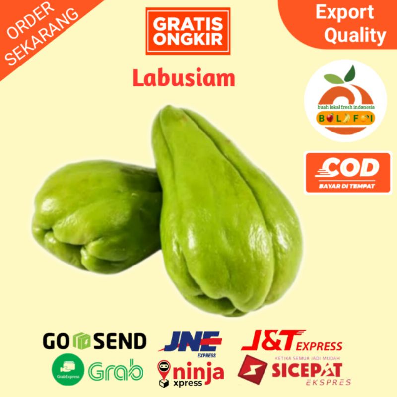 

SAYURAN LABU SIAM FRESH 350-500GR PERPCS