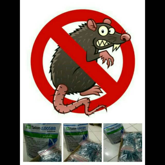 RACUN TIKUS 100% AMPUH talon 0,0055BB SYNGENTA mati kering 50gr Re-pack