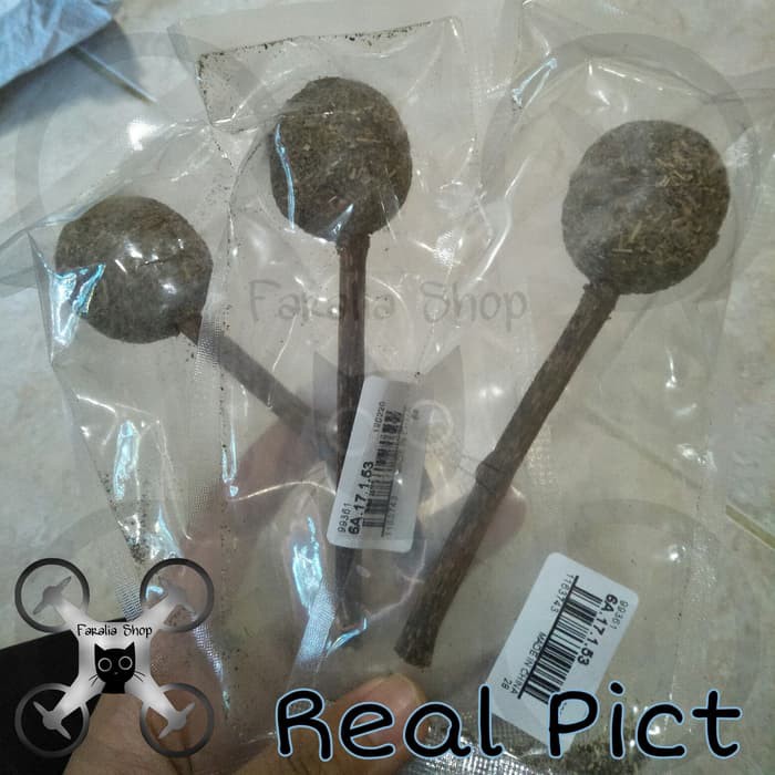 Catnip Lolipop Stik Bola Snack Kucing Mainan Pembersih Gigi Lollipop Loli Lolli Pop Cat Nip Mint