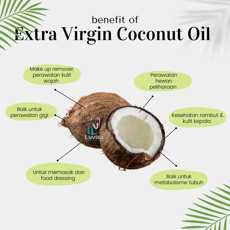 [Grosir] Extra Virgin Coconut Oil VCO 60ml botol Flip