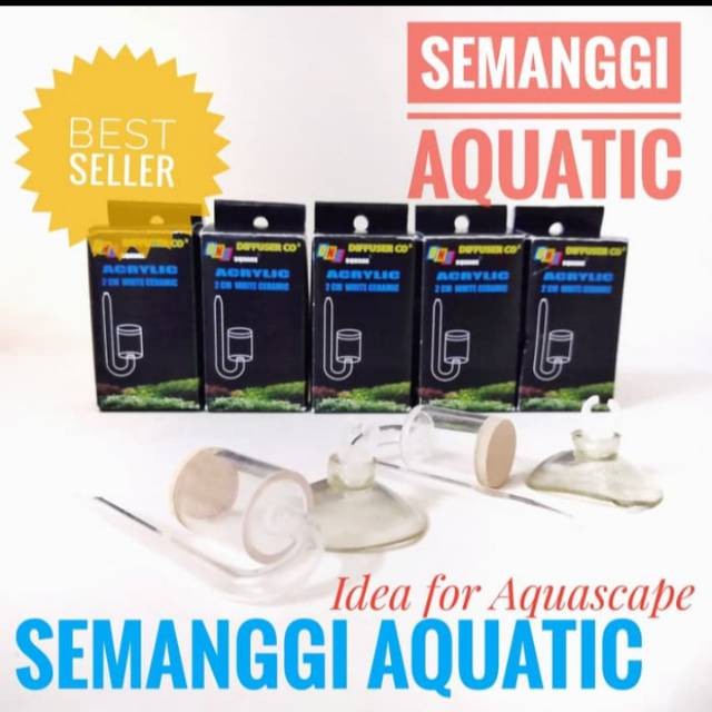 Diffuser Co2 DIY / Diffuser Ragul / Diffuser Cisod /Diffuser