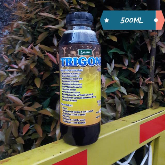 

Madu klanceng murni 500 ml