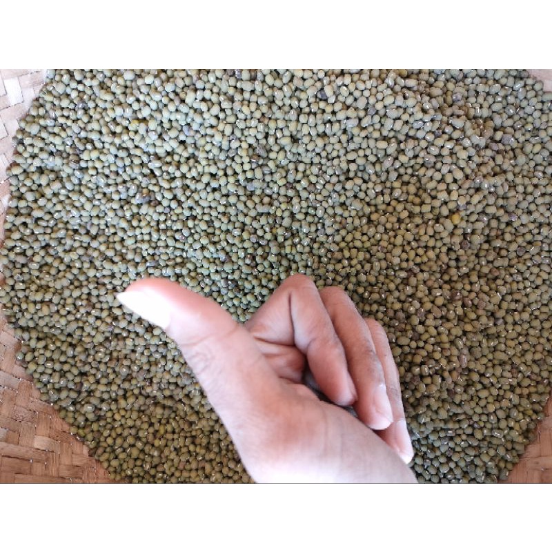 

Kacang hijau 1Kg