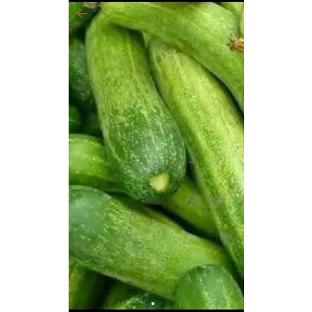 

Timun Segar 500 gram