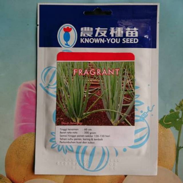 Benih Bibit Bawang Daun Dataran Rendah FRAGRANT 10gr