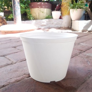  Pot  putih  diansari 12 cm Harga Grosir  Murah Se INDONESIA 