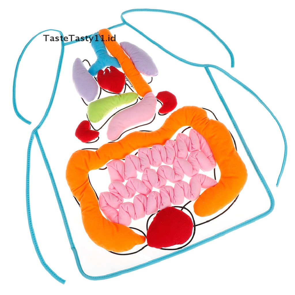 (TasteTasty) Apron / Celemek Motif Organ Tubuh Manusia Untuk Edukasi Anak
