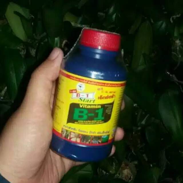 Pupuk B1 Thailand tanaman 100 ml