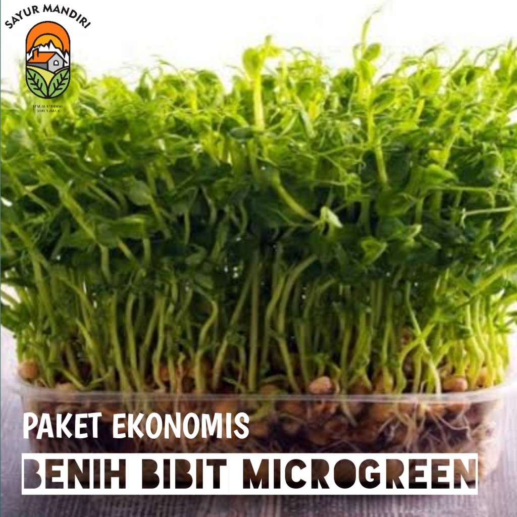 Benih Bibit Microgreen Ekonomis (Kemasan Baru)