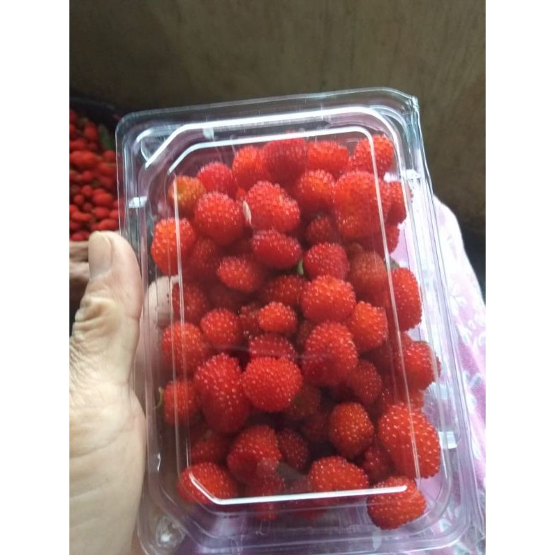 

Raspberry fresh bandung