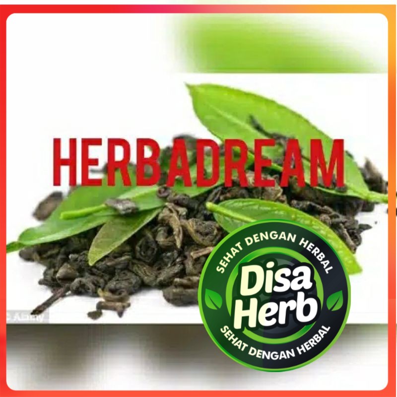 

TEH HIJAU LOKAL BUBUK 1000 GRAM / 1 KG - Camellia Sinensis - MURNI - JSR - REMPAH