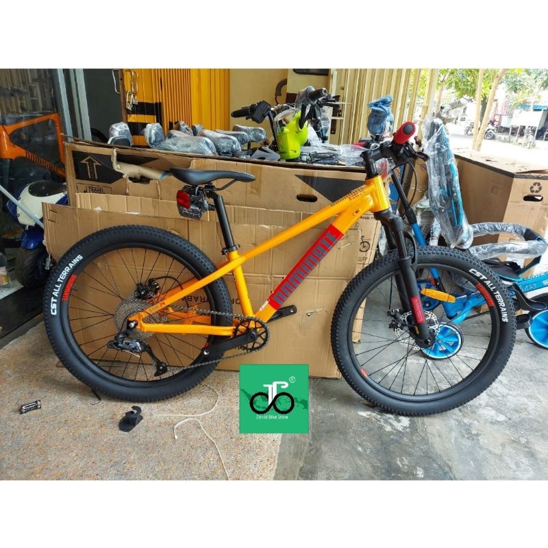 Sepeda MTB 24" Dominate A-One 10speed TERBARU