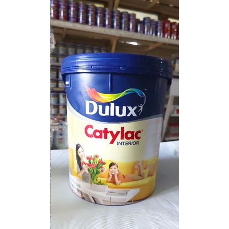 CAT TEMBOK CATYLAC 5 KG DULUX | DULUX CATYLAC GALON 5 KG