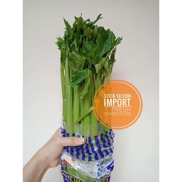 

Seledri Celedri Import Seledri Jus Seledri Stick Fresh dan Segar