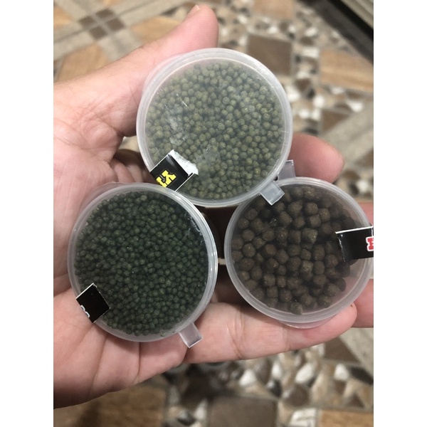 Pelet Channa Premium RED BLUE YELLOW Extra Spirulina Pakan Ikan Predator Channa Oscar