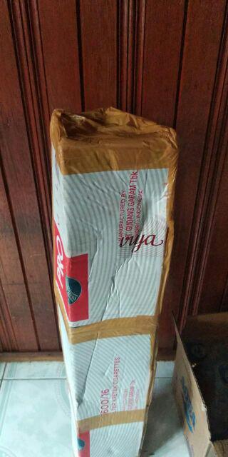 Jual Bibit Alpukat Wina