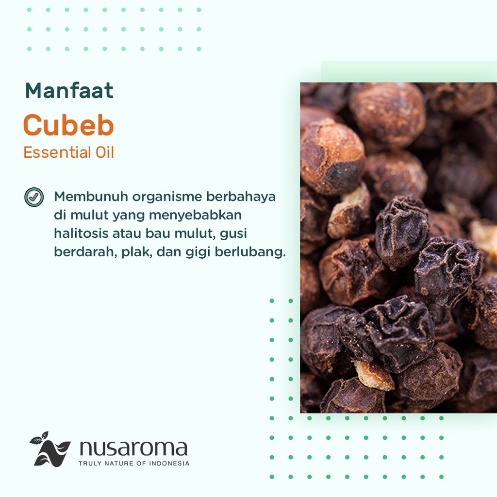 Nusaroma Cubeb Oil Essential Pure Oil