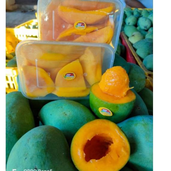 

[94] mangga [gd -892]