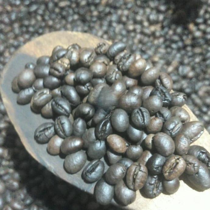 

Biji Kopi Lanang/Peaberry Gn Arjuno, Roasting 1Kg