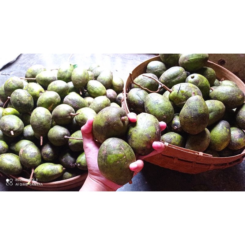 

grosir kedondong super manis